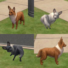 Eevees for your Sims!